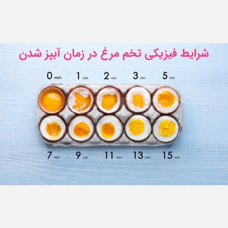 تخم مرغ پز برقی مدل my dream ، طرح مرغ کاکلی (زرد و سفید)